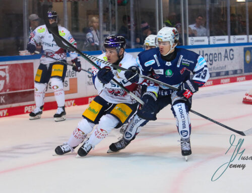 Roosters verlieren 1:4 gegen starke Eisbären