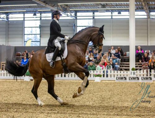 Nachwuchspferde und junge Reiter im Fokus des Agarvis Cups